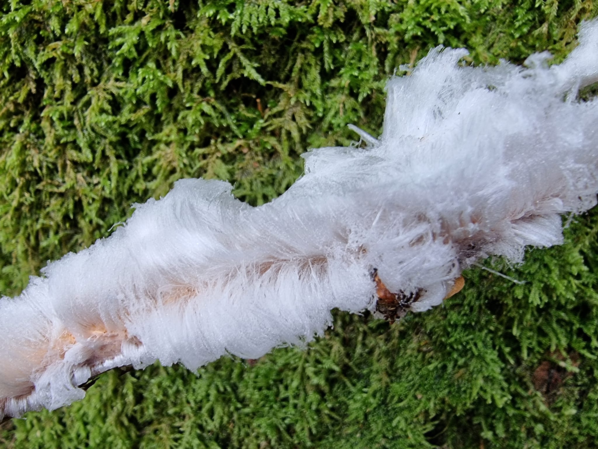 Analysis of the enterprise's activity, profitability assessment